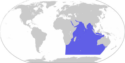 1102-oceanos-y-continentes-6.jpg