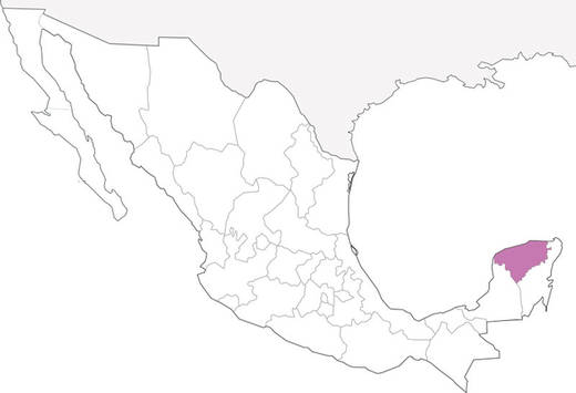 11-estado-de-mexico-31.jpg