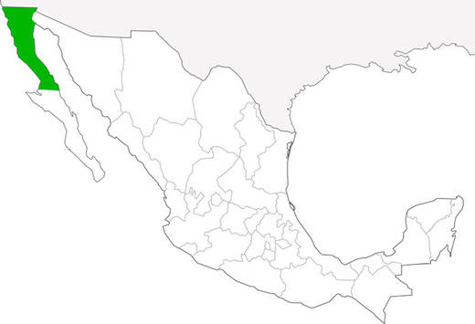 2-estado-de-mexico-1.jpg
