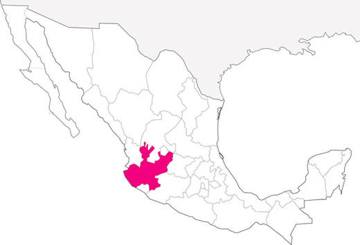 4-estado-de-mexico-14.jpg