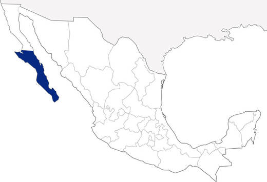 48-estado-de-mexico-2.jpg