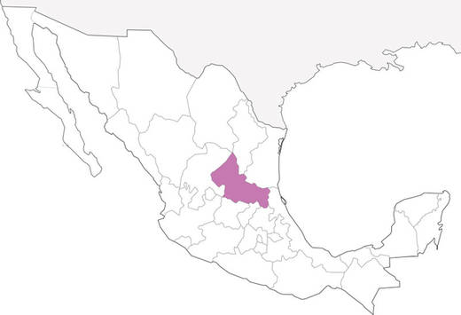 51-estado-de-mexico-11.jpg