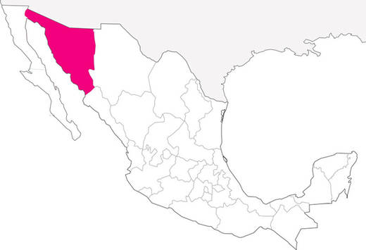 66-estado-de-mexico-3.jpg