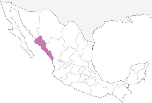 69-estado-de-mexico-6.jpg